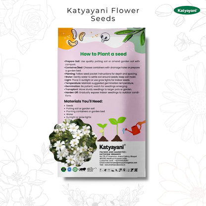 GGV Gypsophila Flowering Seeds