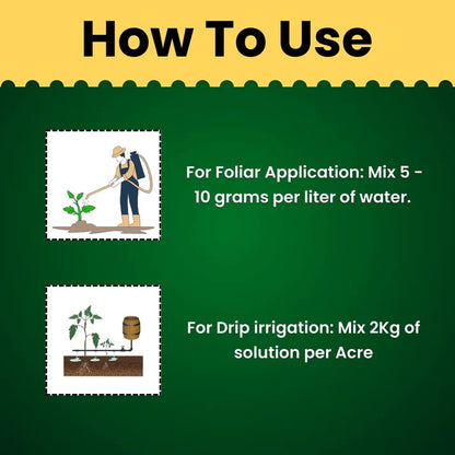 KATYAYANI TRIPLE ATTACK POWDER | VERTICILLIUM LECANII + BEAUVERIA BASSIANA + METARHIZIUM ANISOPLIAE | BIO PESTICIDE