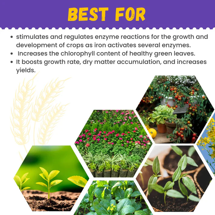 Katyayani Iron EDTA | Fe 12% EDTA Fertilizer | Plant Food for Flowering Plants
