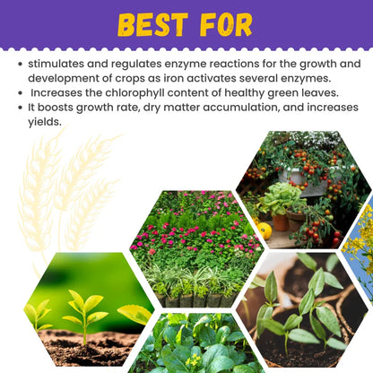 Katyayani Iron EDTA | Fe 12% EDTA Fertilizer | Plant Food for Flowering Plants