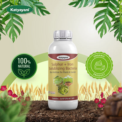 Katyayani Sulphur and Iron Solubilising Biofertilizer for Better Nutrient Mobilization