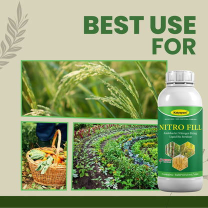 GGV Azotobacter Bio Fertilizer for Home Gardening in Canada | Organic & High Yield | Spring Planting Essential
