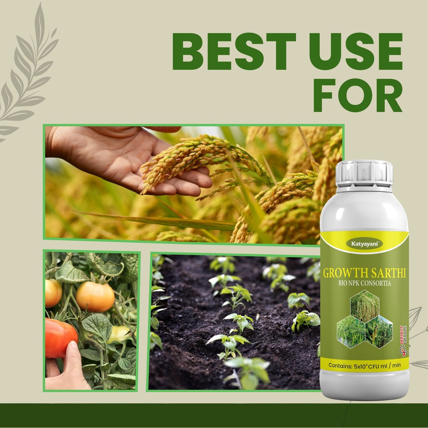 GGV Bio NPK Consortia Biofertilizer with Micro & Macro Nutrients