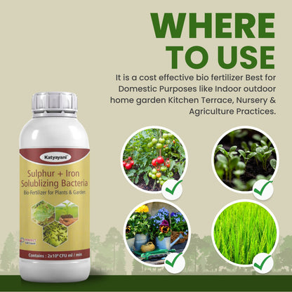 Katyayani Sulphur and Iron Solubilising Biofertilizer for Better Nutrient Mobilization