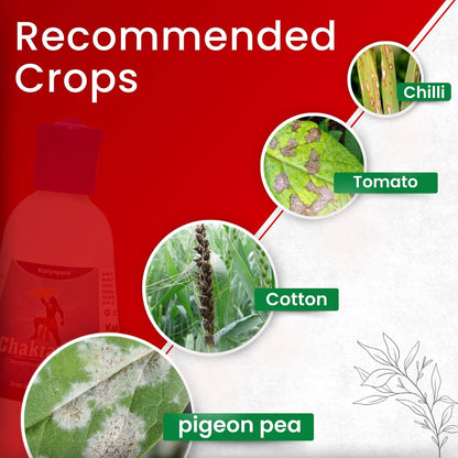 Katyayani Chakraveer | Advanced Crop Care Solution (Chlorantraniliprole 18.5% SC) Green Garden Vibes Canada