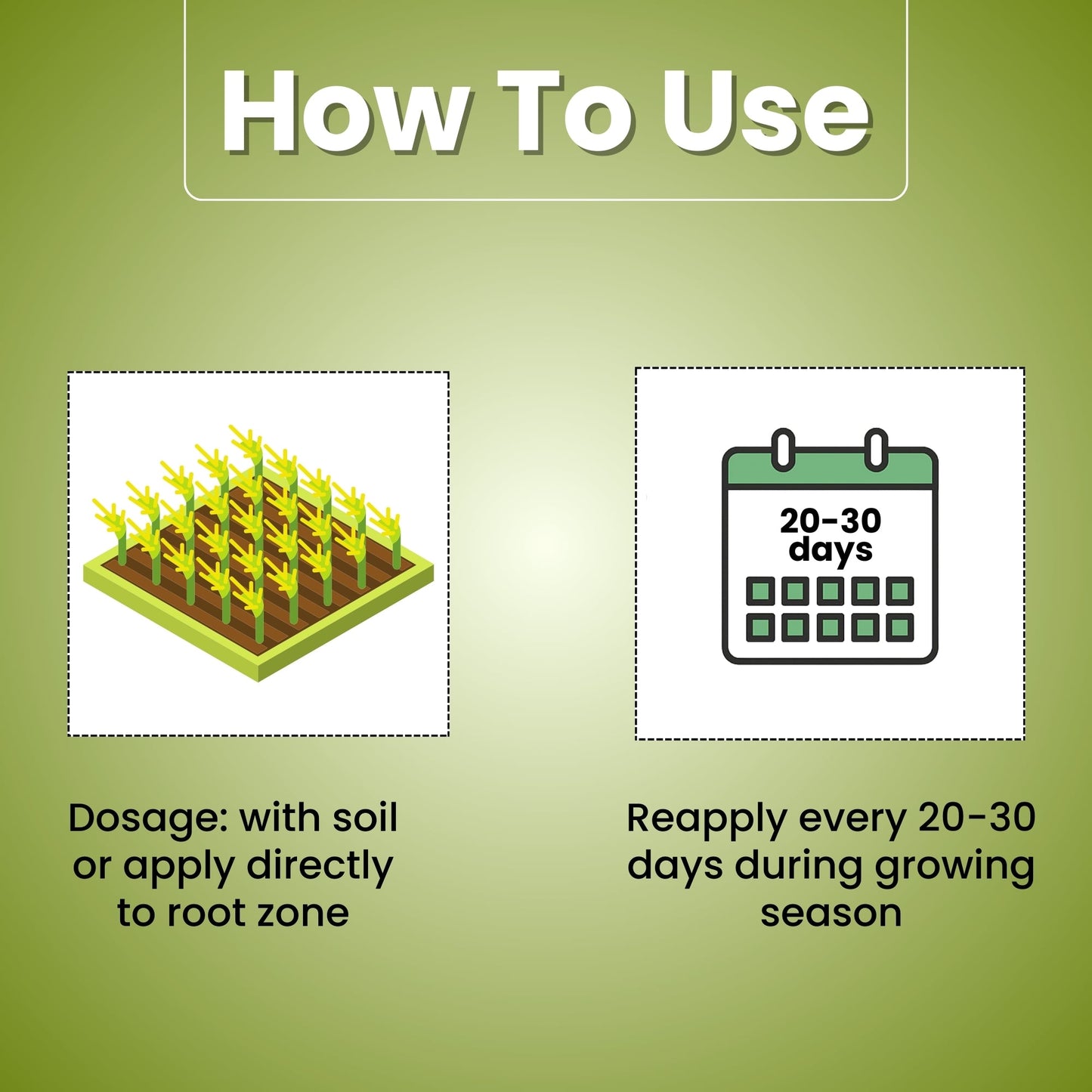 Katyayani K-RAJA | Mycorrhizal Biofertilizer | 100% Water Soluble