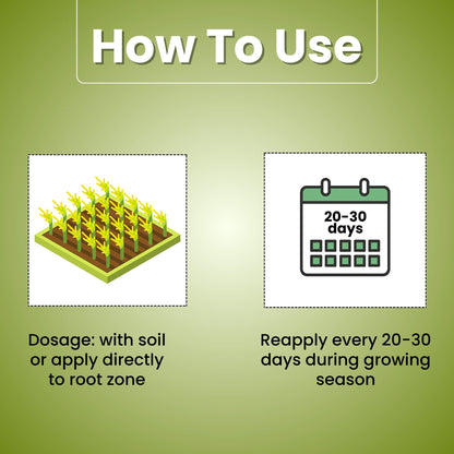 Katyayani K-RAJA | Mycorrhizal Biofertilizer | 100% Water Soluble