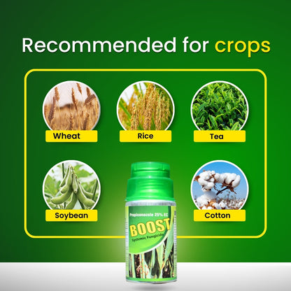 GGV Katyayani Boost Triple Shield Pack – Buy 1, Get 2 Free | Advanced Plant Health Support Green Garden Vibes Canada