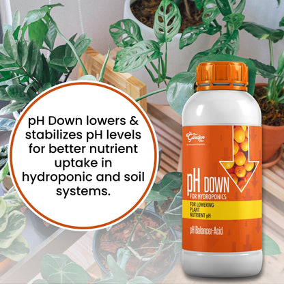 Katyayani pH Down Solution for Hydroponics | Adjusts pH for Nutrient Absorption | Compatible with All Hydroponic Nutrients | Lab-Grade, Residue-Free Formula