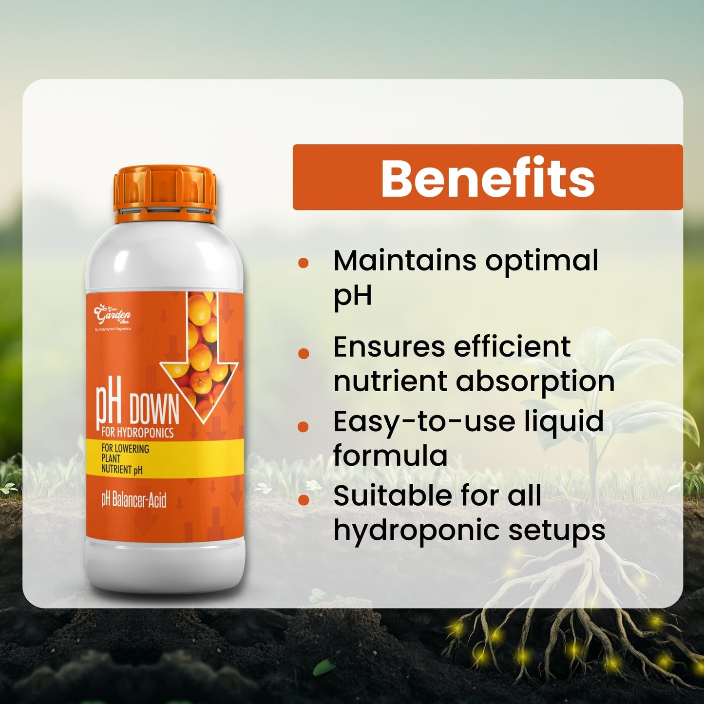 Katyayani pH Down Solution for Hydroponics | Adjusts pH for Nutrient Absorption | Compatible with All Hydroponic Nutrients | Lab-Grade, Residue-Free Formula