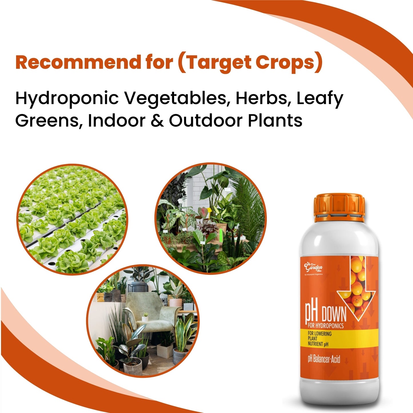 Katyayani pH Down Solution for Hydroponics | Adjusts pH for Nutrient Absorption | Compatible with All Hydroponic Nutrients | Lab-Grade, Residue-Free Formula