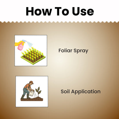 GGV Activated Humic Acid + Fulvic Acid 98% | Organic Soil Conditioner & Plant Growth Enhancer Green Garden Vibes Canada