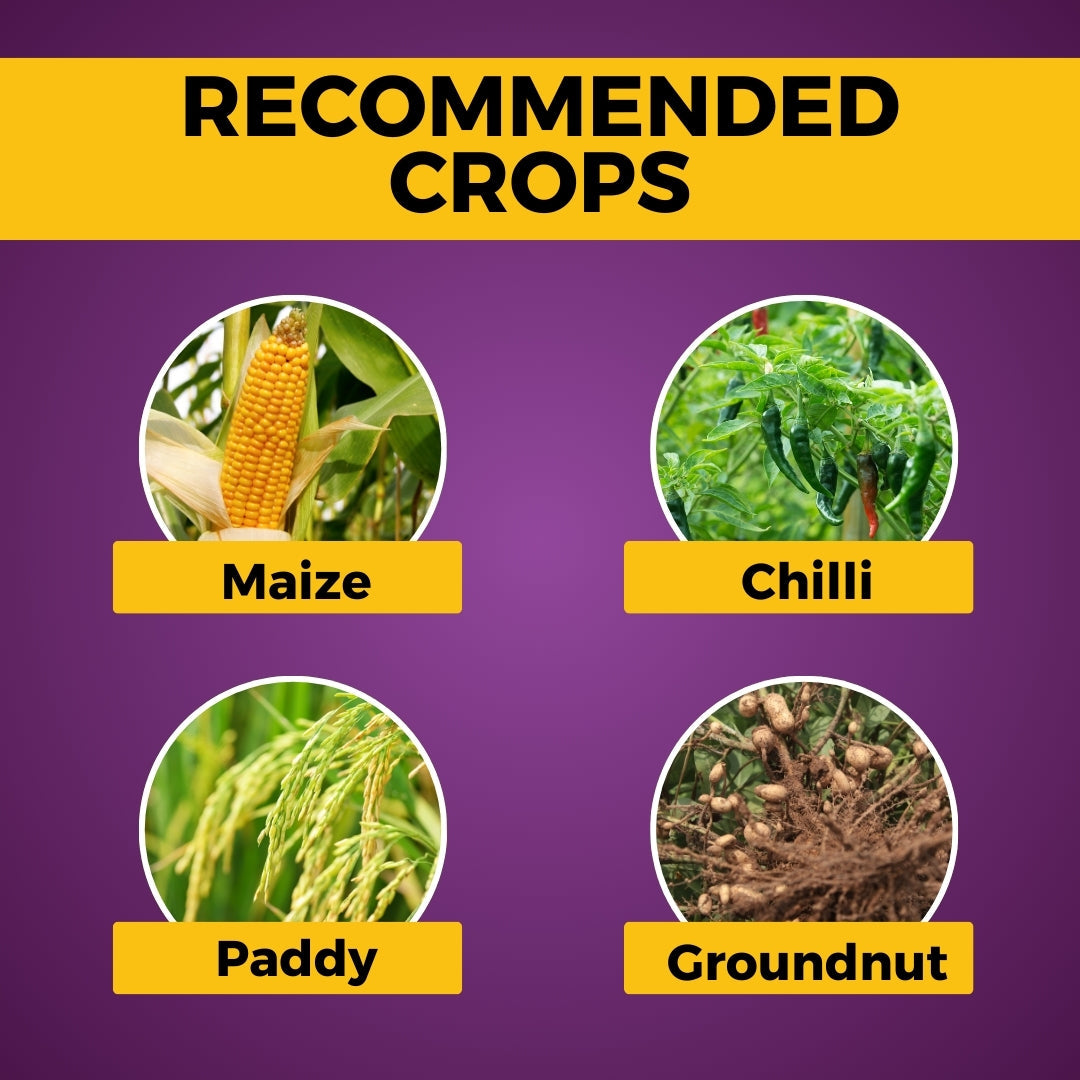 GGV Azogard Azoxystrobin 18.2 % + Difenoconazole 11.4 % SC