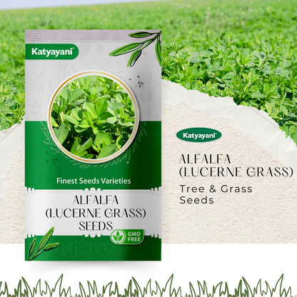 GGV Alfalfa (Lucerne grass) Tree and Grass Seeds