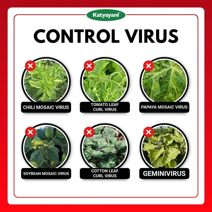 GGV Antivirus Viricide | Special for Chilli, Tomato & Brinjal | No Virus Insecticide