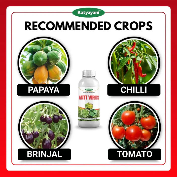 GGV Antivirus Viricide | Special for Chilli, Tomato & Brinjal | No Virus Insecticide