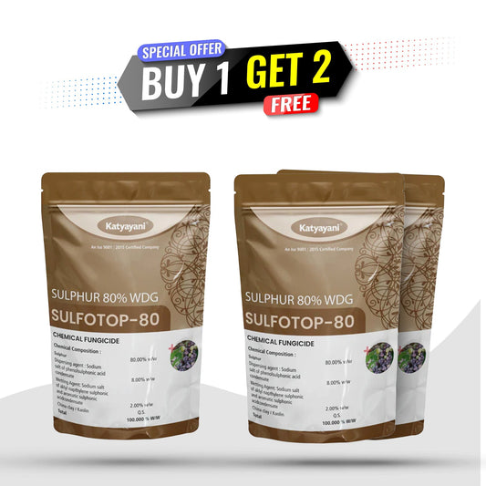 GGV Katyayani Sulfotop 80 Super Saver Pack – Buy 1, Get 2 Free | Sulphur 80% WDG for Fungus &amp; Mite Control Green Garden Vibes Canada