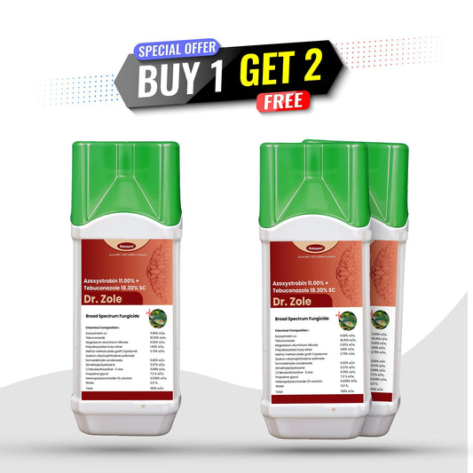 GGV Katyayani Dr. Zole | Dual-Action Systemic Fungicide (Azoxystrobin 11% + Tebuconazole 18.3% SC) Green Garden Vibes Canada