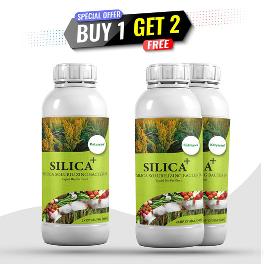 🌿 Buy 1, Get 2 Free – GGV SILICA+ | Bio-Fertilizer for Stronger Stems &amp; Stress Tolerance Green Garden Vibes Canada