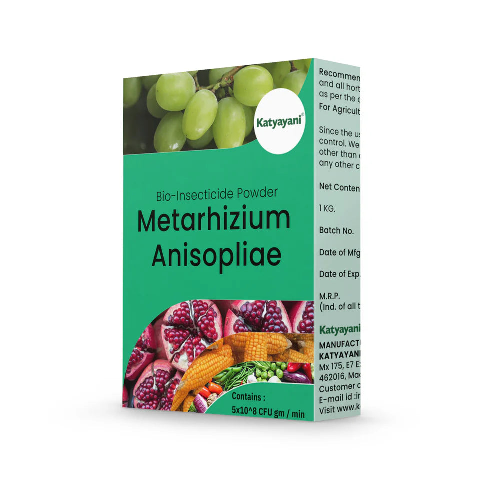 GGV Metarhizium Anisopliae Bio Insecticide Powder