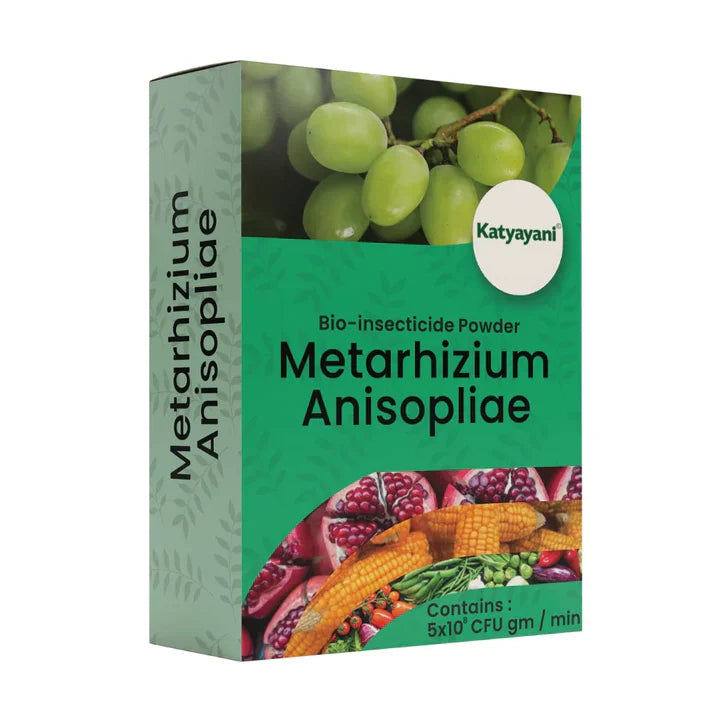 GGV Metarhizium Anisopliae Bio Insecticide Powder