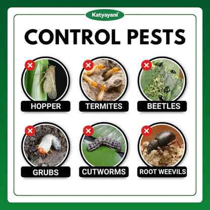 GGV Metarhizium Anisopliae Bio Insecticide Powder