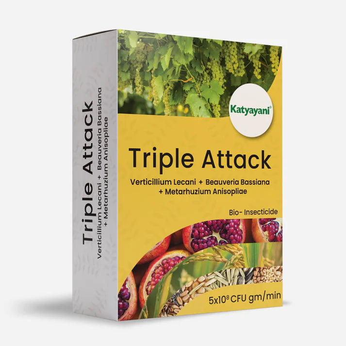 KATYAYANI TRIPLE ATTACK POWDER | VERTICILLIUM LECANII + BEAUVERIA BASSIANA + METARHIZIUM ANISOPLIAE | BIO PESTICIDE