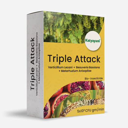 KATYAYANI TRIPLE ATTACK POWDER | VERTICILLIUM LECANII + BEAUVERIA BASSIANA + METARHIZIUM ANISOPLIAE | BIO PESTICIDE