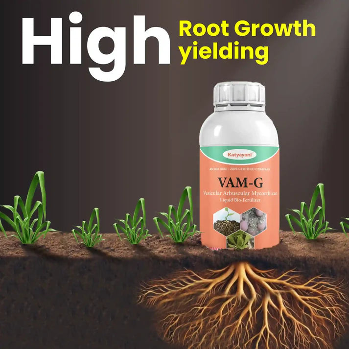 Katyayani VAM-G | Vesicular Arbuscular Mycorrhiza | Bio fertilizer