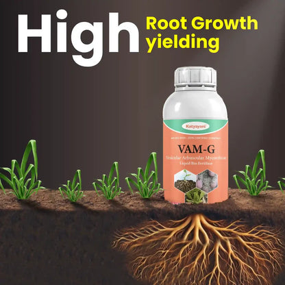 Katyayani VAM-G | Vesicular Arbuscular Mycorrhiza | Bio fertilizer