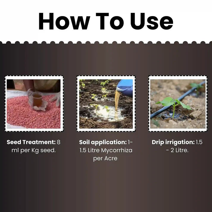 Katyayani VAM-G | Vesicular Arbuscular Mycorrhiza | Bio fertilizer