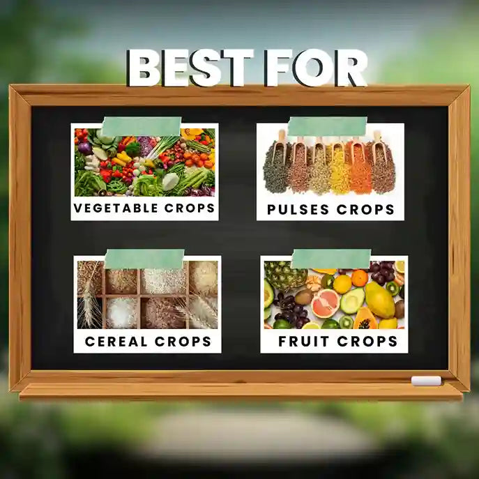 GGV All In 1 Organic Fungicide for Plants – Broad-Spectrum Disease Control | Rust, Blight, Mildew & Rot Solution