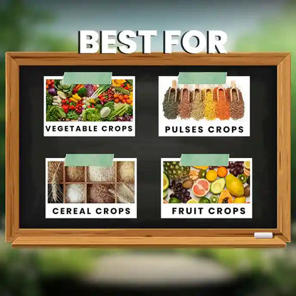 GGV All In 1 Organic Fungicide for Plants – Broad-Spectrum Disease Control | Rust, Blight, Mildew & Rot Solution