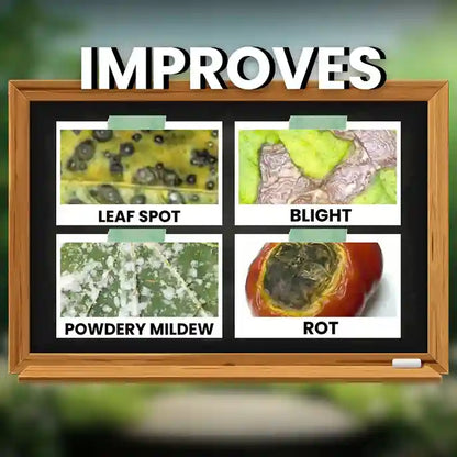 GGV All In 1 Organic Fungicide for Plants – Broad-Spectrum Disease Control | Rust, Blight, Mildew & Rot Solution