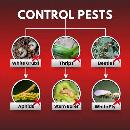 Katyayani Nashak | Fipronil 40% + Imidacloprid 40% WG | Pesticide for White grub Jassids, Thrips