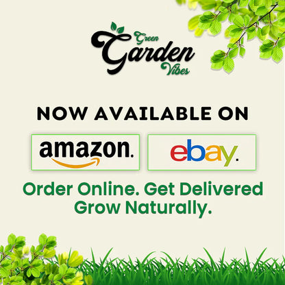 GGV NPK 19-19-19 Water Soluble Fertilizer for Fast Growth | All-in-One Plant Nutrients